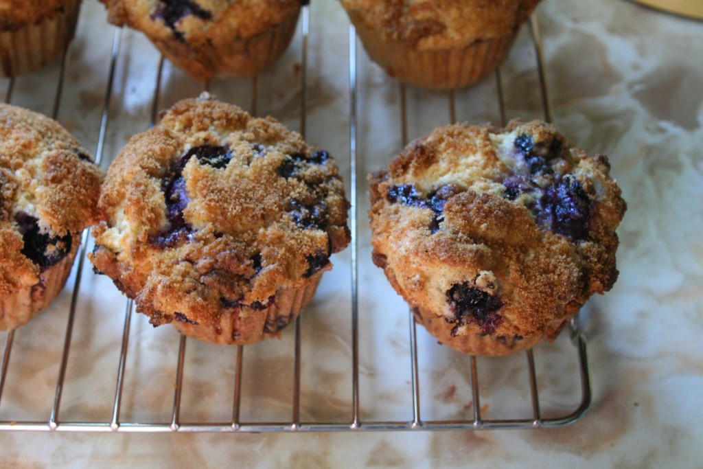 Oversized Blueberry Muffins 
