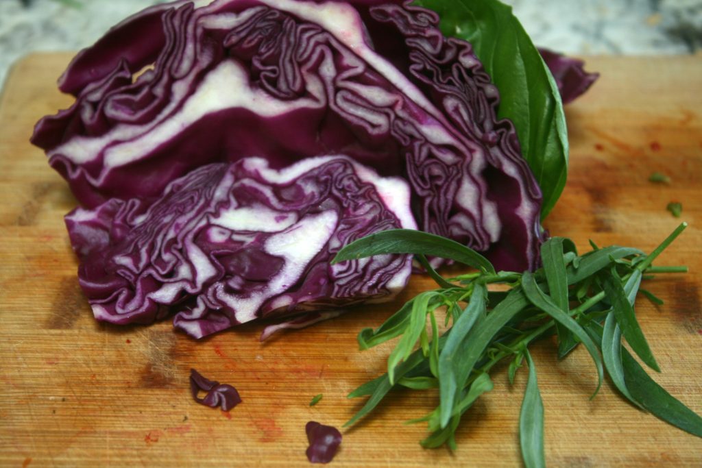 Red Cabbage and Herbs